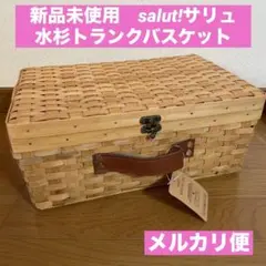 サリュ！トランク型　バスケット　カゴ　ピクニック　水彩トランクバスケット