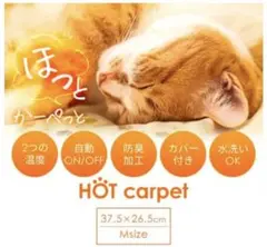 Item thumbnail for item 54e2f6fc-be7e-4793-be27-3489d55c8e6c