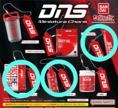 DNS　プロテイン　ミニチュアチャーム　ガチャガチャ　BANDAI　カプセルトイ