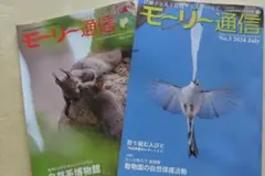 モーリー通信 No.3 2024年7月号