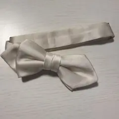 EXCYFORMAL 高級シルク蝶ネクタイ ホワイト