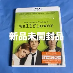ウォールフラワー Blu-ray 新品未開封