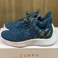 カリー9 curry9 2974