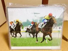 武豊　ディープインパクト　第72回 日本ダービー 記念写真