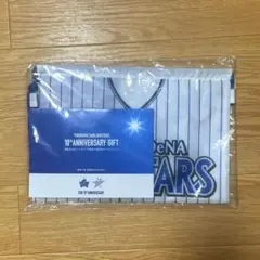 新品 未開封品 横浜DeNAベイスターズ 誕生10周年記念 ギフトバッグ グッズ