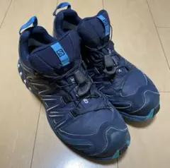 サロモン salomon XA PRO 3D トレイルランニング