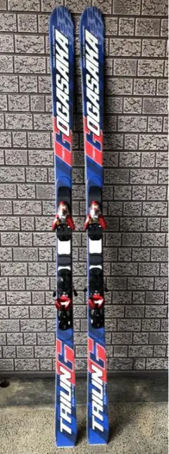 OGASAKA TRIUN GS 185cm