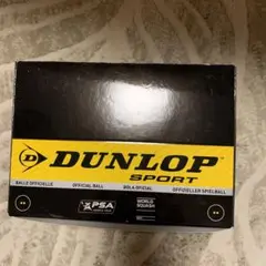 スカッシュボール