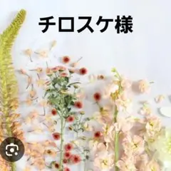 激レアねこパネル生地　ハンドメイド