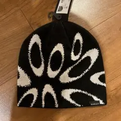 Item thumbnail for item f410d32b-e08f-404f-a28c-72ca67a1af56