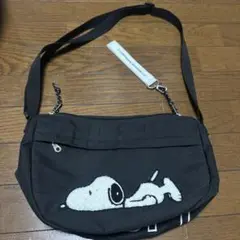 Item thumbnail for item 3dffbc6e-efb2-4ff9-a79e-ff64bfcaa148