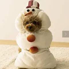 Item thumbnail for item 57661c17-f5af-4e80-9ad2-6313cf9df51d