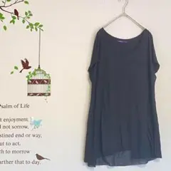 LOUVRE/フレンチスリーブ シアーチュニック バックスリット 後ろ切り込み