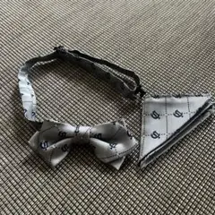 Item thumbnail for item 437d6c7e-dcd7-4618-bfc5-83edf406690d