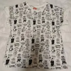 SCOLAR☆ 猫Tシャツ 120