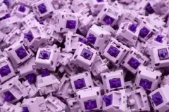 Item thumbnail for item 226d09d6-a594-419e-9fa9-65296f48b2b9