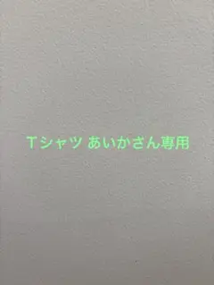 Ｔシャツ あいかさん専用
