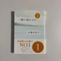 一瞬の風になれ 佐藤多佳子