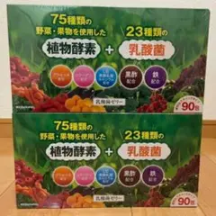 富士薬品 乳酸菌ゼリー90包×2
