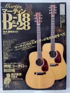 林楽器製 MOUNTAIN W-250希少