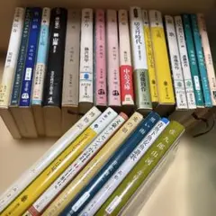 小説　まとめ売り　25冊　【8月28日までの出品です】