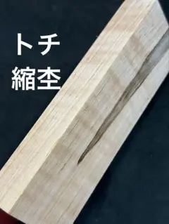 トチ　縮み杢　スポルテッド　端材　無垢　銘木　唐木　木材　杢　虎杢　栃　B