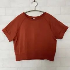 トレーニング　ランニング　ジム　クロップド丈　ショート丈　トップス　Tシャツ