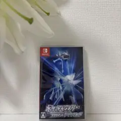 ポケットモンスター ブリリアントダイヤモンド