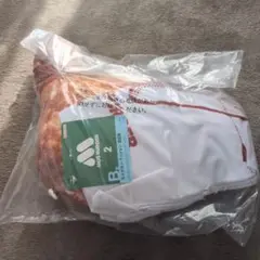 Item thumbnail for item d6355d62-c115-4833-820d-831bc8e62294