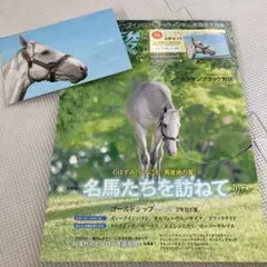 優駿 ゴールドシップ ポストカードあり