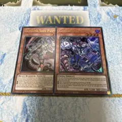 泰亜版　アジア英語版　VS 蛟龍　ジャオロン　ヴァンキッシュソウル　25th 3 泰亜版 アジア英語版 VS 蛟龍 ジャオロン ヴァンキッシュソウル