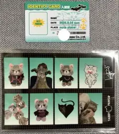 SOPHIA 黒柳能生 入館証 シール ステッカー