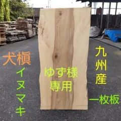 Item thumbnail for item 0a0cf4ee-c21f-49e4-ae76-fd26896c31f6