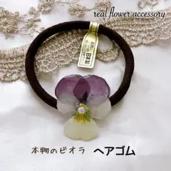 本物のビオラ ヘアゴム