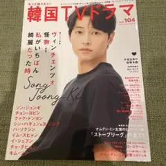 もっと知りたい韓国TVドラマ vol.104 ソンジュンギ