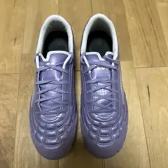 TLSS タクシャシFG