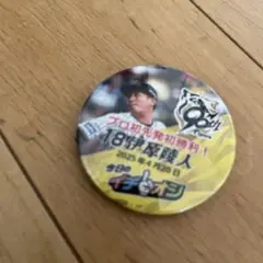 新品　阪神タイガース 今日のイチオシ