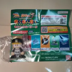 パワプロくん ならぶんです セントラル・リーグ　阪神タイガース