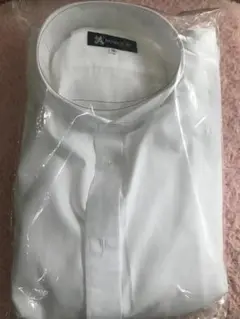 ウイングカラーシャツ　３L