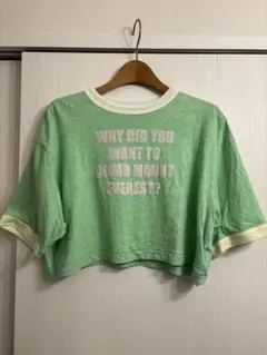 BEAMS BOY リンガー クロップド Tシャツ