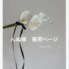 んぬ様　専用ページ