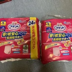 介護用オムツ女性用
