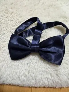 Item thumbnail for item 03150729-2394-4862-a768-32d2f19c4ddc