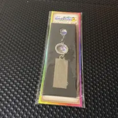 ポケモンメガスタンプラリー2025 STAGE3景品　スペシャルキーリング♪