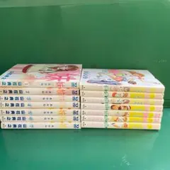 【全巻セット】山花典之 妹-あかね- 全14巻