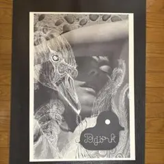 【早い者勝ち】bjork ヴェスパタイン B2 ポスター ビョーク Amazon.co.jp: bjork ビョーク ヴェスパタイン B2 ポスター : ホビー