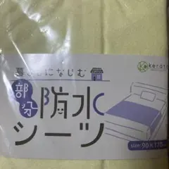 Item thumbnail for item f3e4b223-5d65-4d84-9adb-97d903e7915e