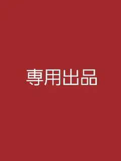専用出品