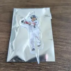 ヤクルトスワローズ　塩見　アクリルピック