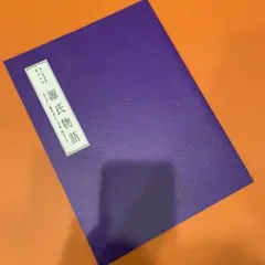 新品未使用 市川海老蔵 源氏物語